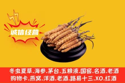 东莞市莞城街回收冬虫夏草